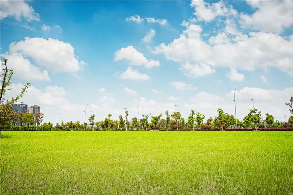 

SHENGYONGBAO Vinyl Custom Photography Backdrops Props Flower and Wood Planks theme Photo Studio Background 20212-5566