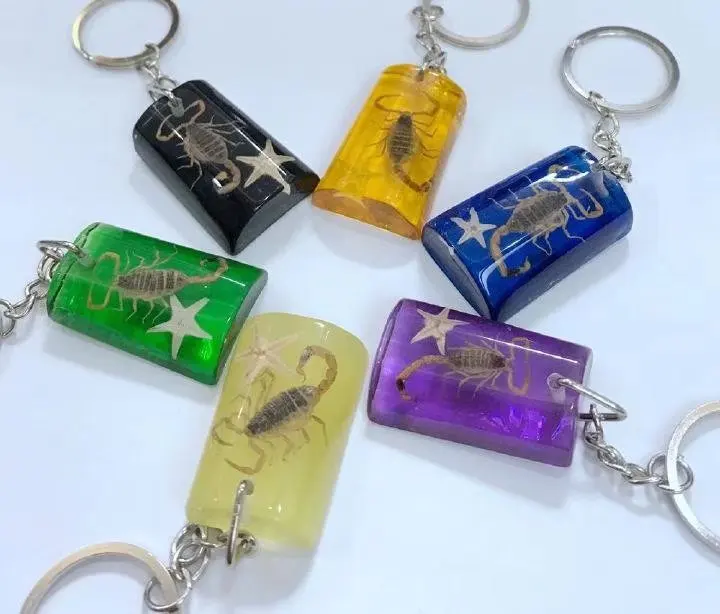 

16 шт. модные аксессуары Смешанный красочный задний дизайн Готическая фотозвезда брелок