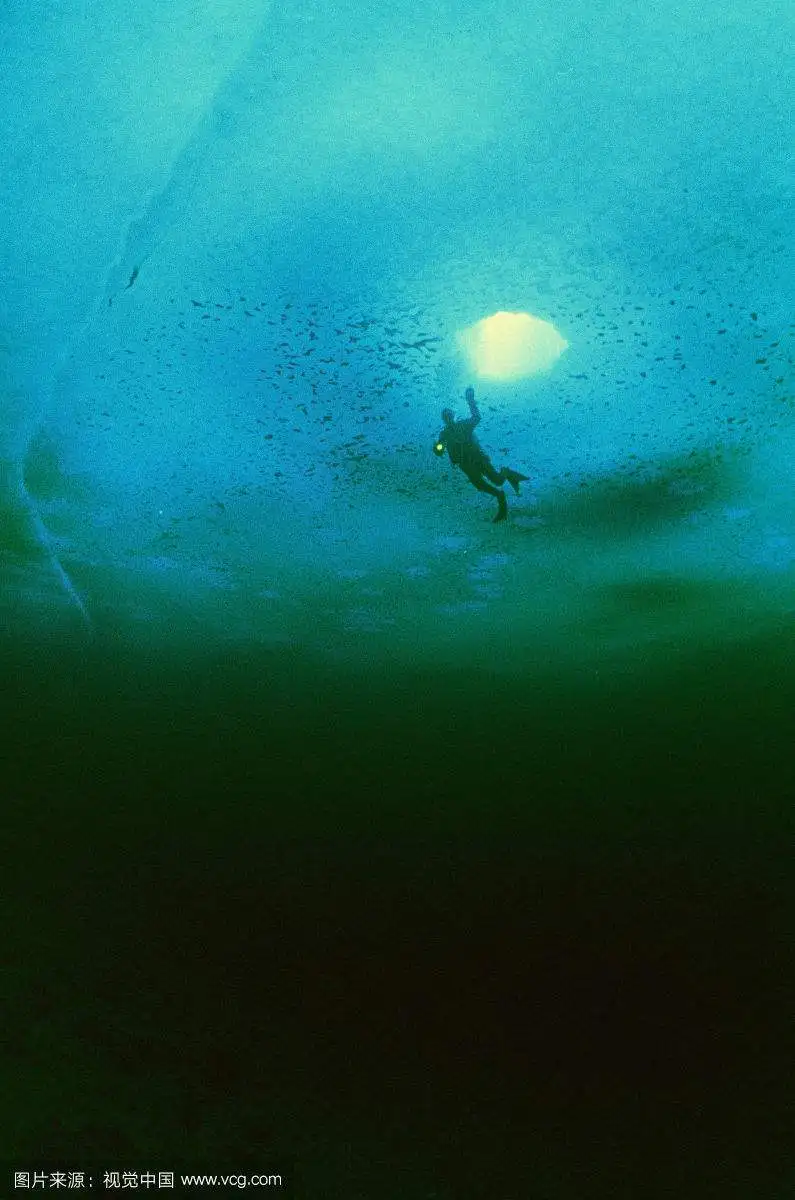 

12V/24V LED Underwater Diving Lamp Submarine 5M Cable 432Pcs SMD2835 350W LED Fish Light