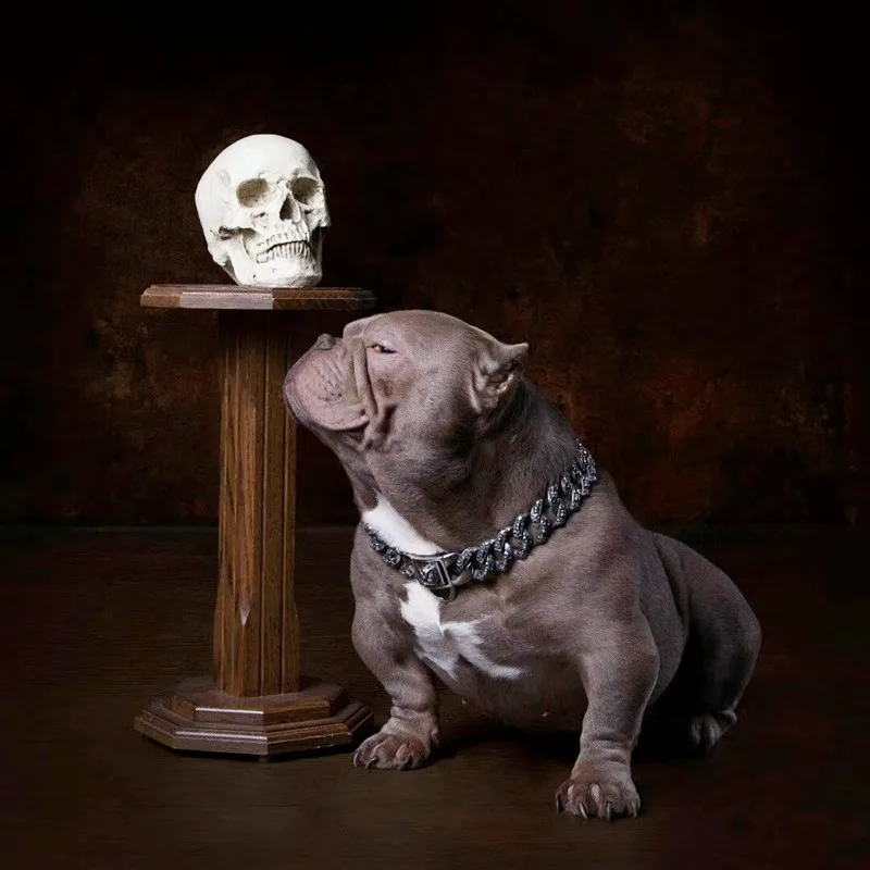 Collar con dise&ntilde;o de Pitbull para perro, cadena de oro personalizada, correa de Bulldog de acero inoxidable, Collar de 32mm, producto para mascotas-2