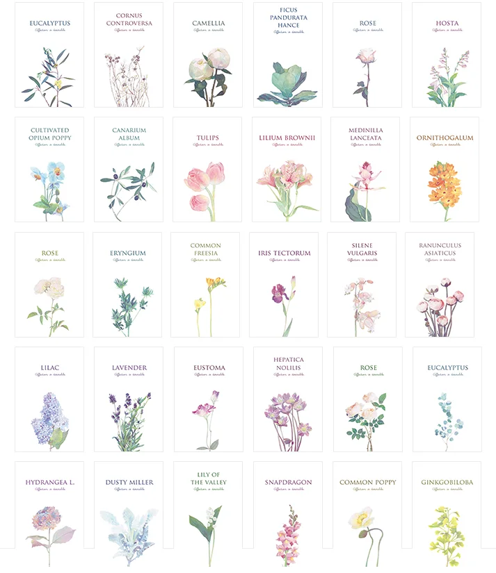 

143mmx93mm flower garden paper postcard(1pack=30pieces)