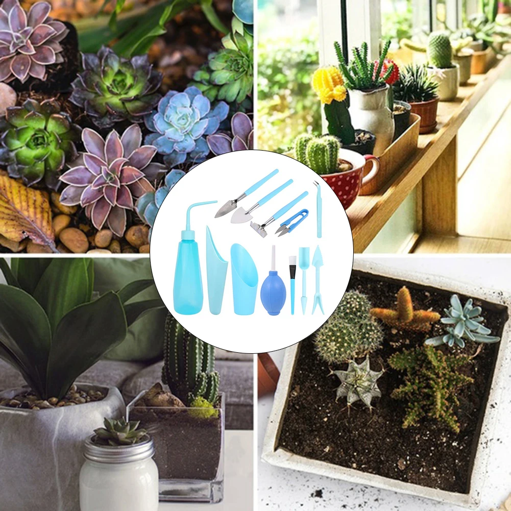 

Набор для полива саженцев, миниатюрный бытовой садовый прибор «сделай сам» для сечения суккулентов, 12 шт./компл.