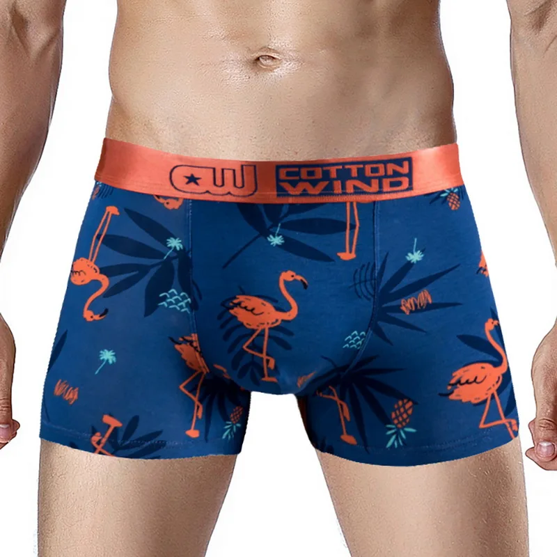 2020 пляжные шорты мужские плавки с ретро принтом одежда для плавания Классическое