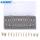 AZDENT 28 шт. стоматологическая 1: 1 постоянная демонстрация зубов обучающая модель стоматологический имплантат обучающая модель
