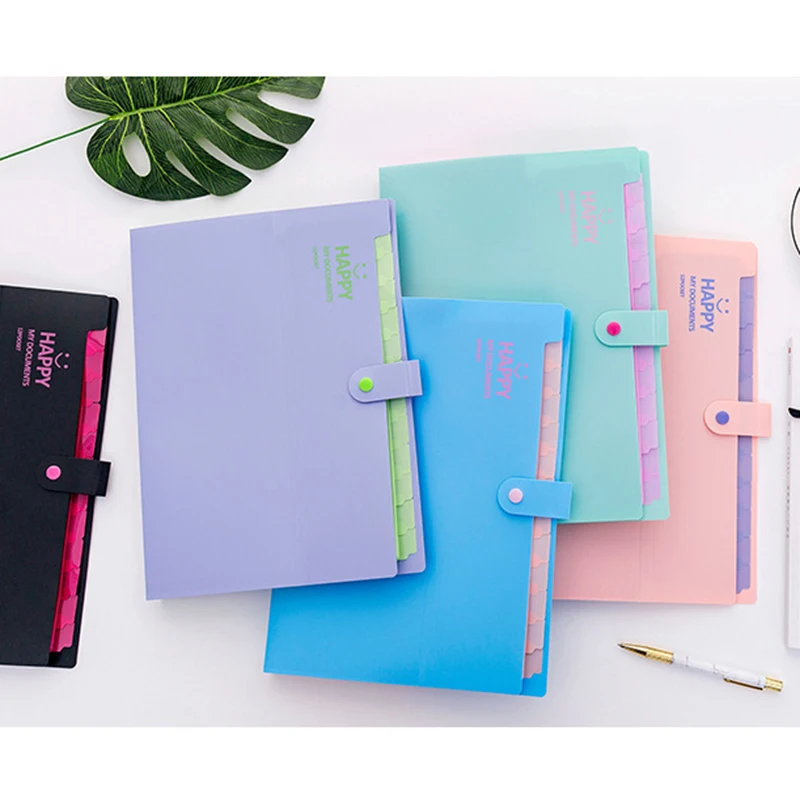 

Snap Closure Plastic Accordion Folders Document Organizer File Folder Labels for School and Office 32.5 X 24CM EM88