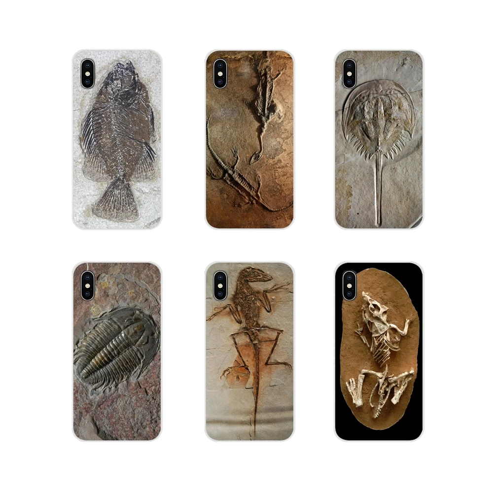 Биологические окаменелости растения динозавра рыбы для Oneplus 3 5 6 7 T Pro Nokia 2 8 9 230 1 Plus