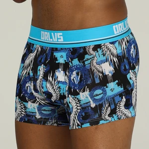 ORLVS Брендовое Мужское нижнее белье, мужские трусы-боксеры, cueca tanga, быстросохнущая одежда, мужские трусы-боксеры, Мужские дышащие трусы