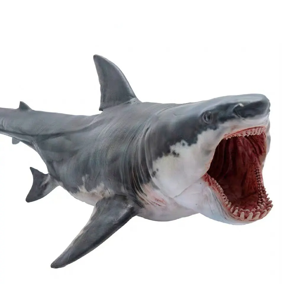 16*10 см моделирование Megalodon Акула океан животных серии статические изысканные