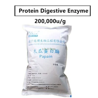 natural powder extract of papaya fruit papain enzyme 200000ug protein digestive enzyme