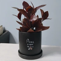 modern cylinder printing ceramic flowerpot nordic simple ins wind indoor column with tray matte cabinet desktop flowerpot