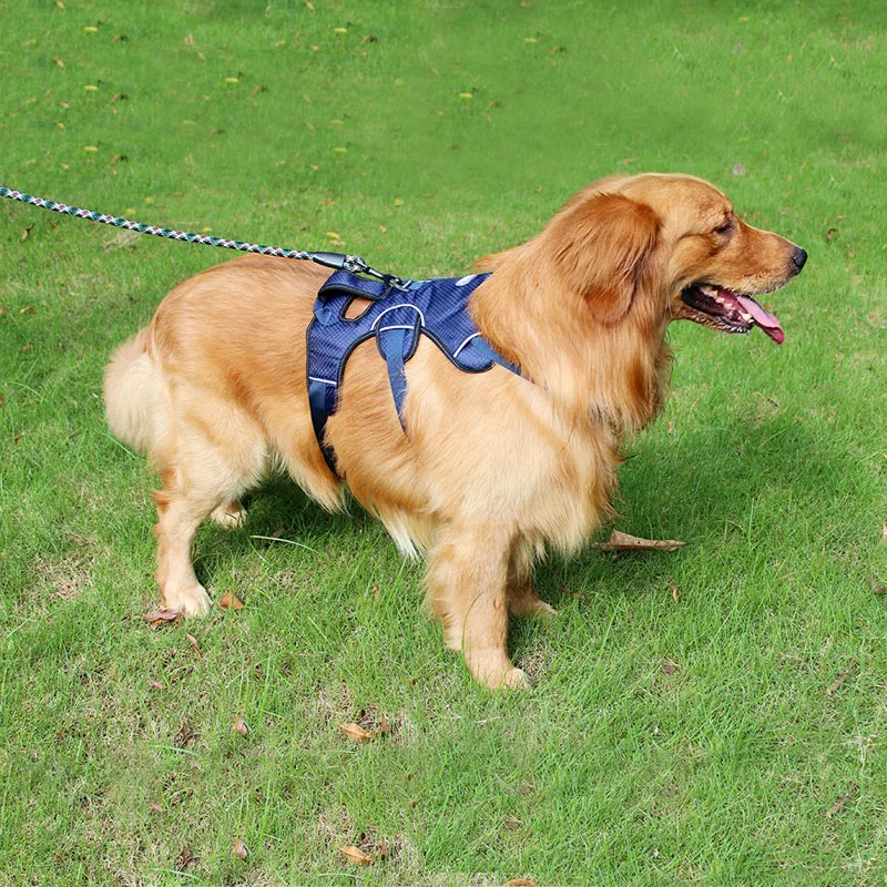 TUFF HOUND сильные поводки для собак тренировочная безрукавка средние и большие собаки регулируемая уличная Защитная собачья жгут Pitbull