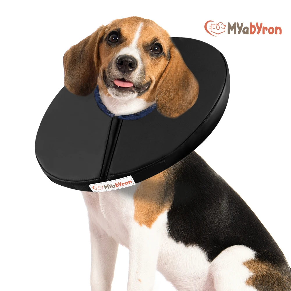 

Cat Comfort Collar Dog Circle Anti-Bite Ring Pet Recovery Protective Cover Waterproof Soft Sponge Pet Collar Cat Accessories