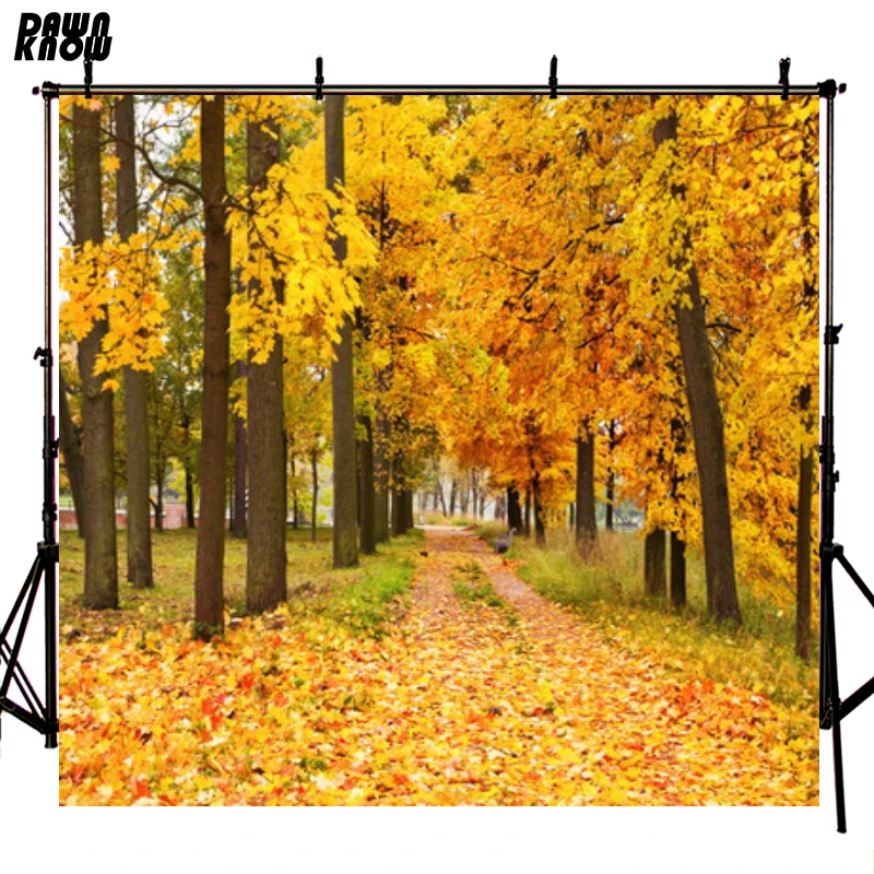 Фон для фотосъемки с осенним пейзажем свадьбы лес опавшие листья индивидуальный