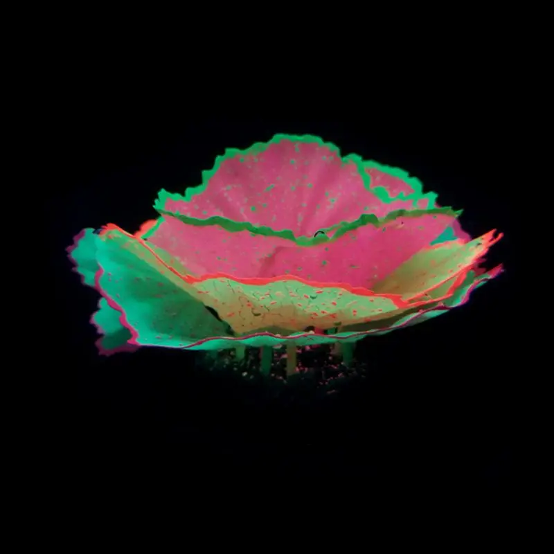 Multicolor Украшение для аквариума украшение для аквариума искусственные растения салат Коралл подводный мир микро пейзаж C6UE - Цвет: Multicolor
