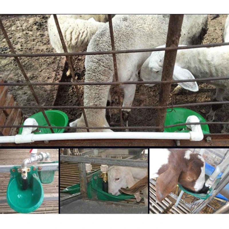 Alimentador de Animais de Ovelha Tigela de Água Potável de Plástico para Alimentação de Animais de Cabra Automática para Beber Suprimentos de Gado Calha