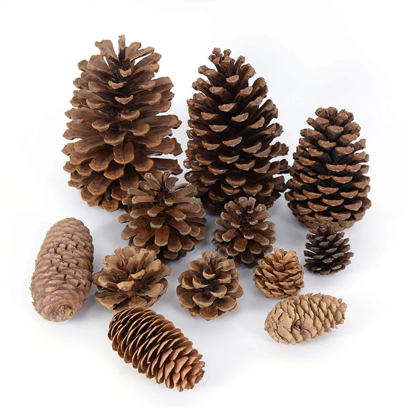 

1-10pcs Natural Dried Plants Pine Cone Acorn Artificial Flower For DIY ChristmasScrapbooking Garland Wreath Wedding Decoration