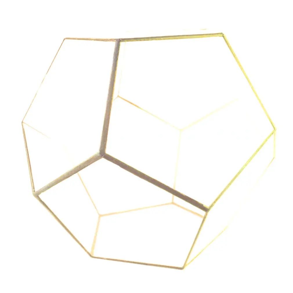 Dodecahedron стеклянный парник зеленое растение прозрачный креативный мох микро