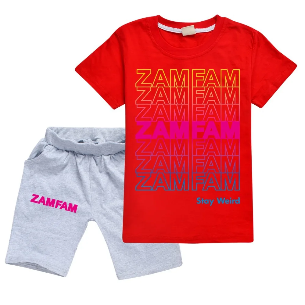 

Boys Cotton Clothes Set Two Piece Set Summer Teen Girl Clothing ZAMFAM Baby Clothes Girls Tshirt Short Pants Kids Clothes Girls
