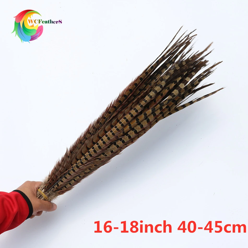 10 шт натуральные Ringneck Перья из хвоста фазана 10-26 дюймов/25-65 см перо для вечерние карнавальные украшение для головного убора шлейф - Цвет: 40-45cm