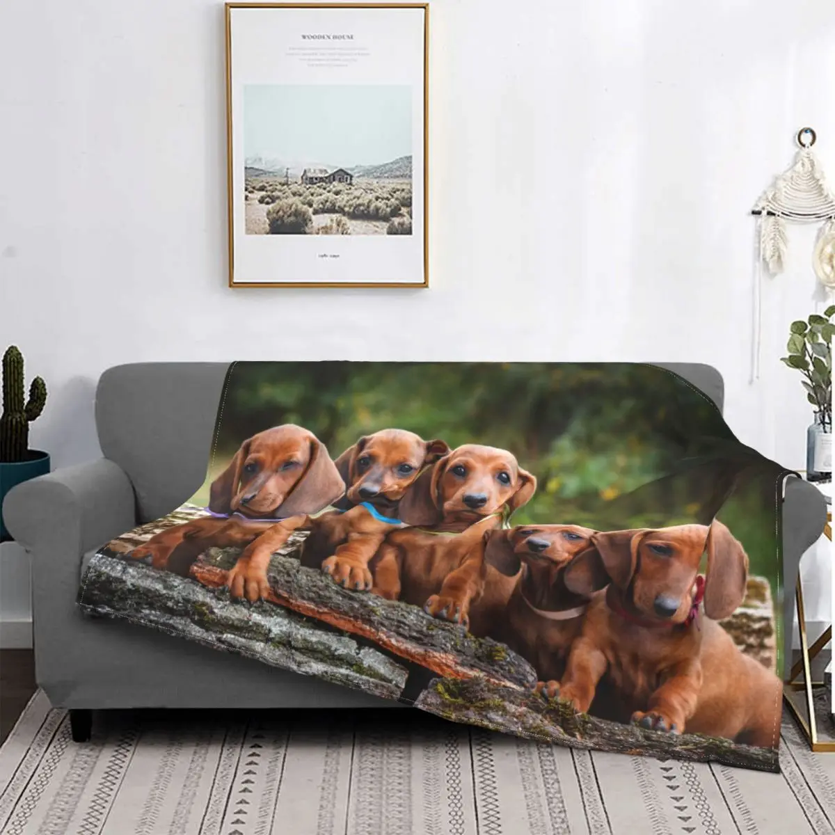 

Милые вязаные одеяла Dachshunds для щенков, подарок для любимых собак, фланелевые покрывала для спальни, дивана, ультра-мягкие теплые покрывала