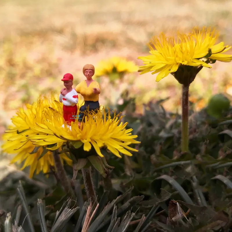 Модель скалолазания в масштабе 1:87 стиле Хо модель для пешего туризма стола