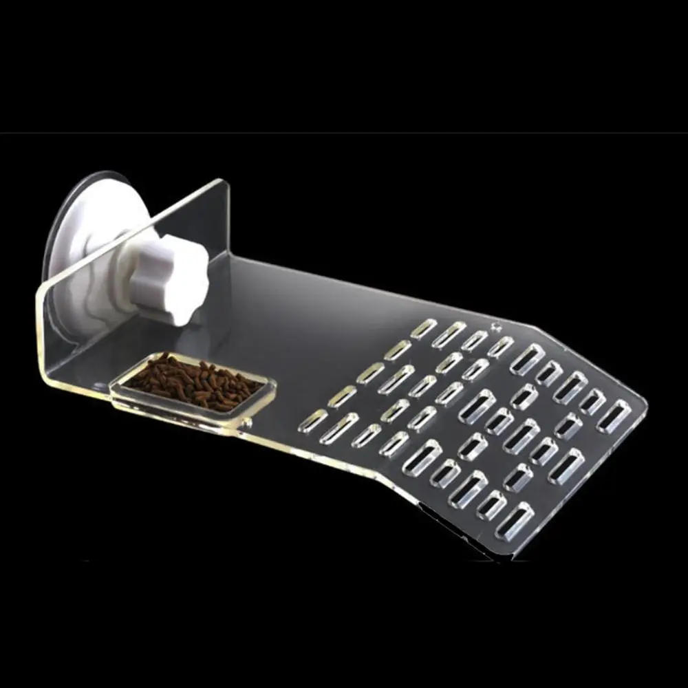 Рептилия черепаха Плавающая Платформа прозрачная раковина пристани для