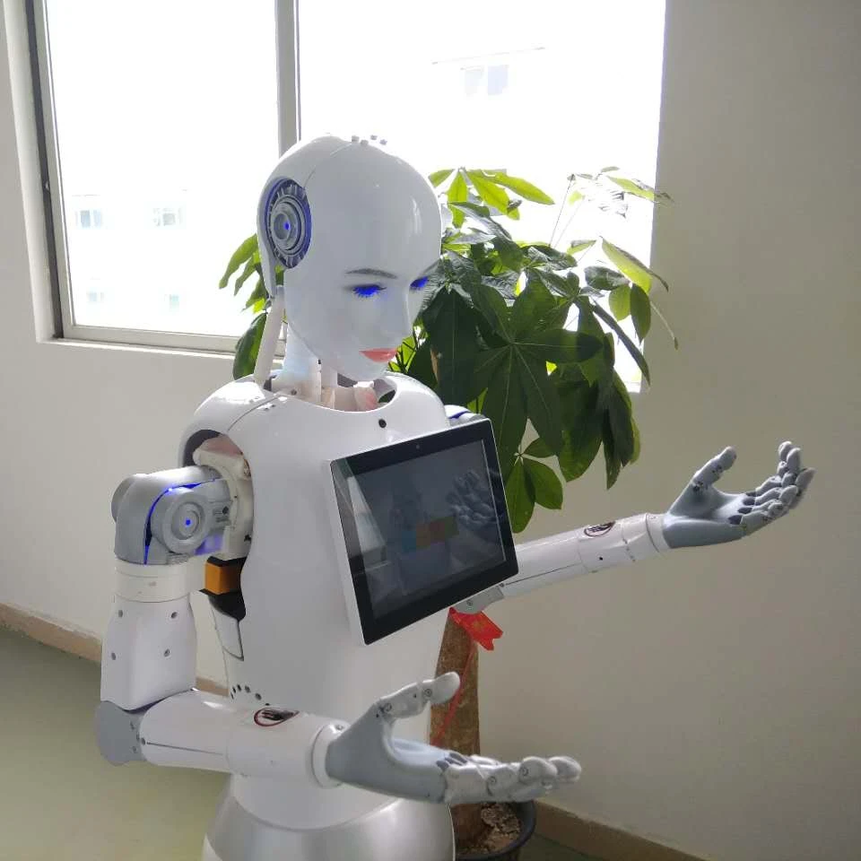 Программируемый Многофункциональный сервисный робот|Камеры видеонаблюдения| |