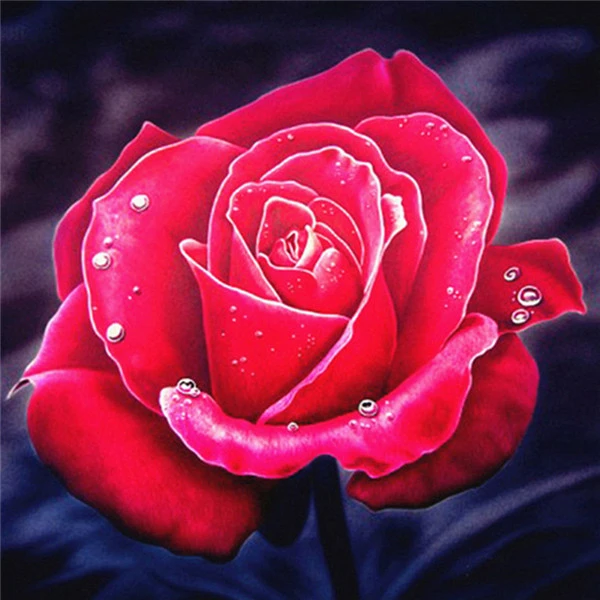 rose 4030 AZQSD Алмазная Вышивка Цветы ручная работа алмазная картина Роза картина Стразы Алмазная мозаика домашний декор ремесла подарок - Цвет: rose 4030