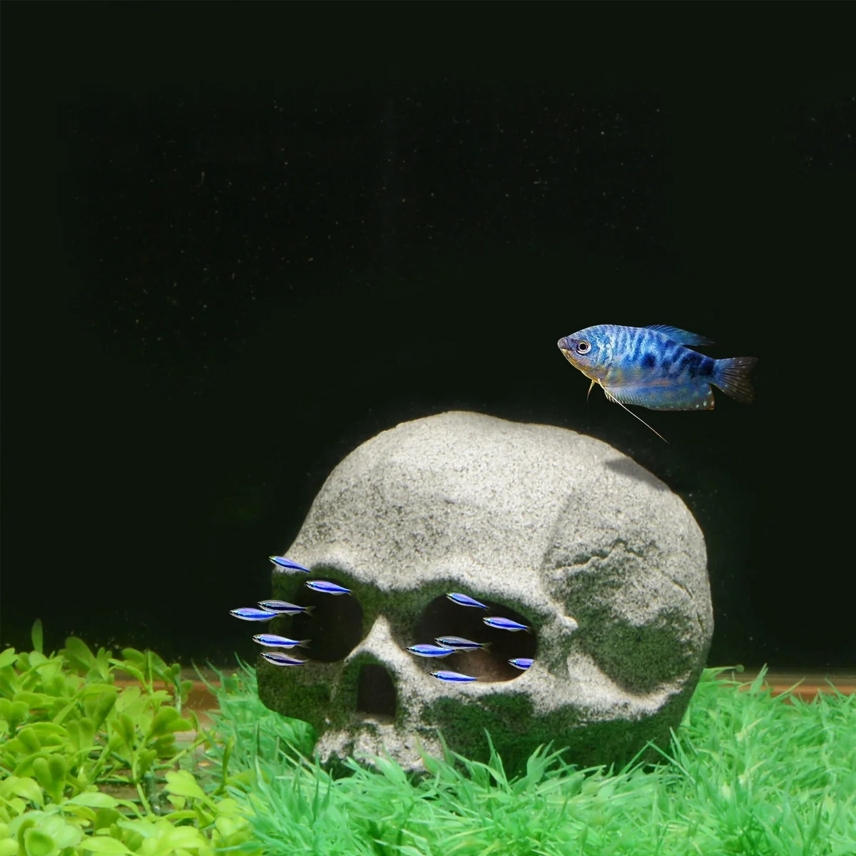 Украшения для аквариума Saim керамическая имитация головы черепа декор креветки