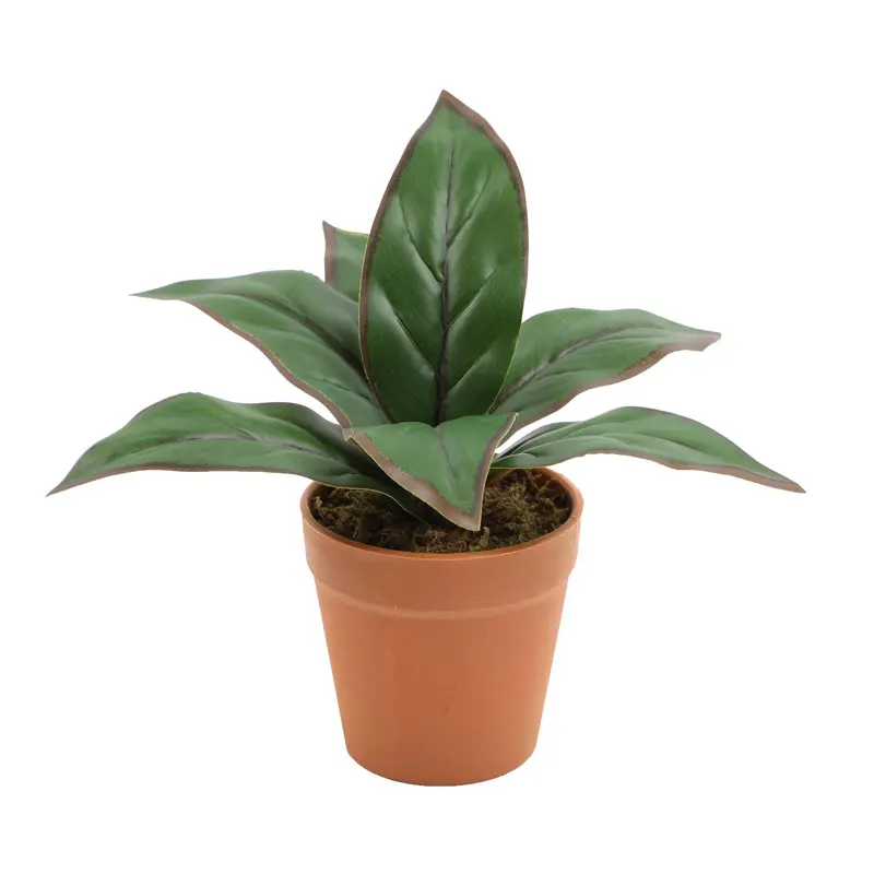 

Artificial Bonsai Plants Evergreen Potted Plants Teen Room Accessories Wedding Decoration Home Decoration Garden Ornaments