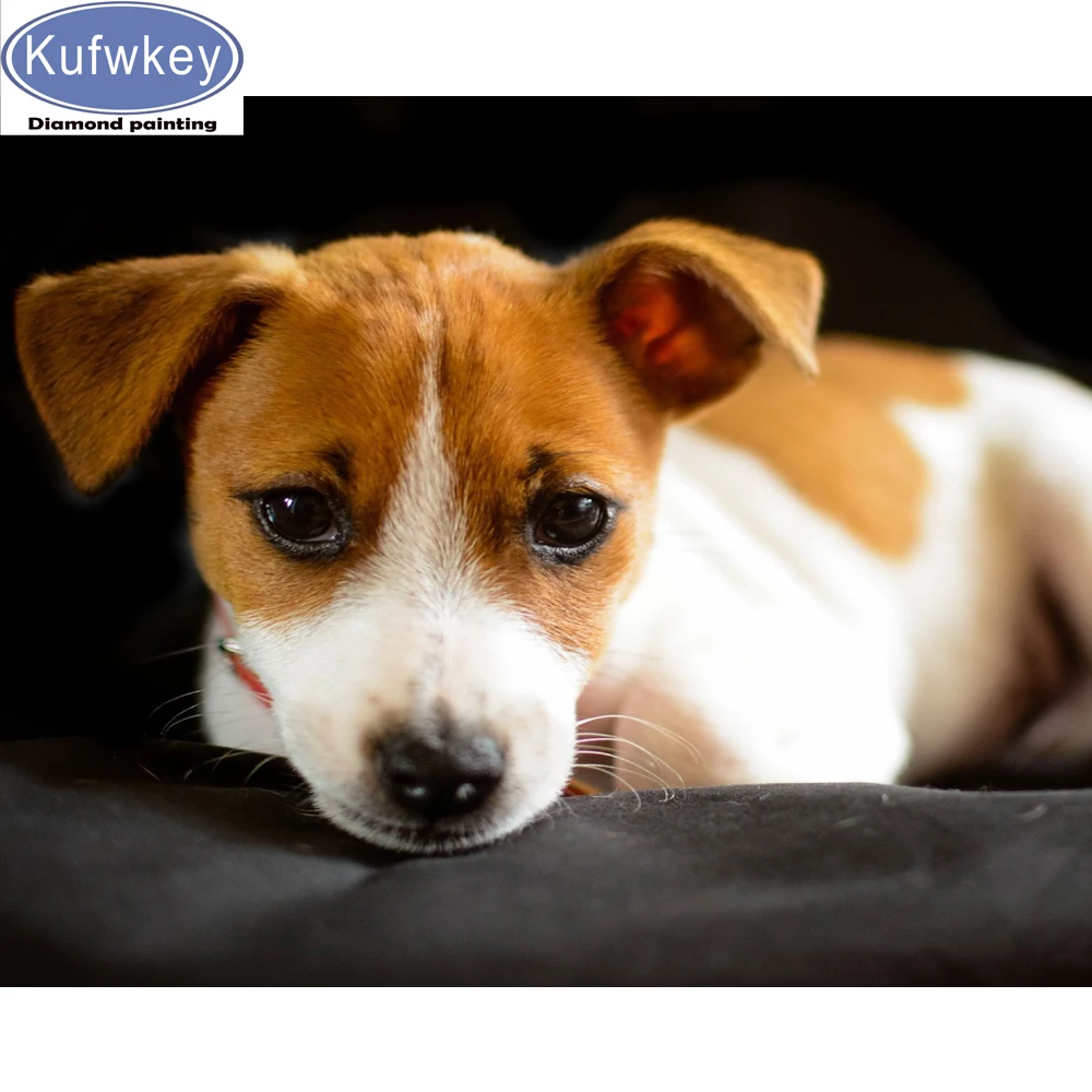 Джек Рассел терьер diy наборы для алмазной живописи 3d вышивки крестом 5d алмазная