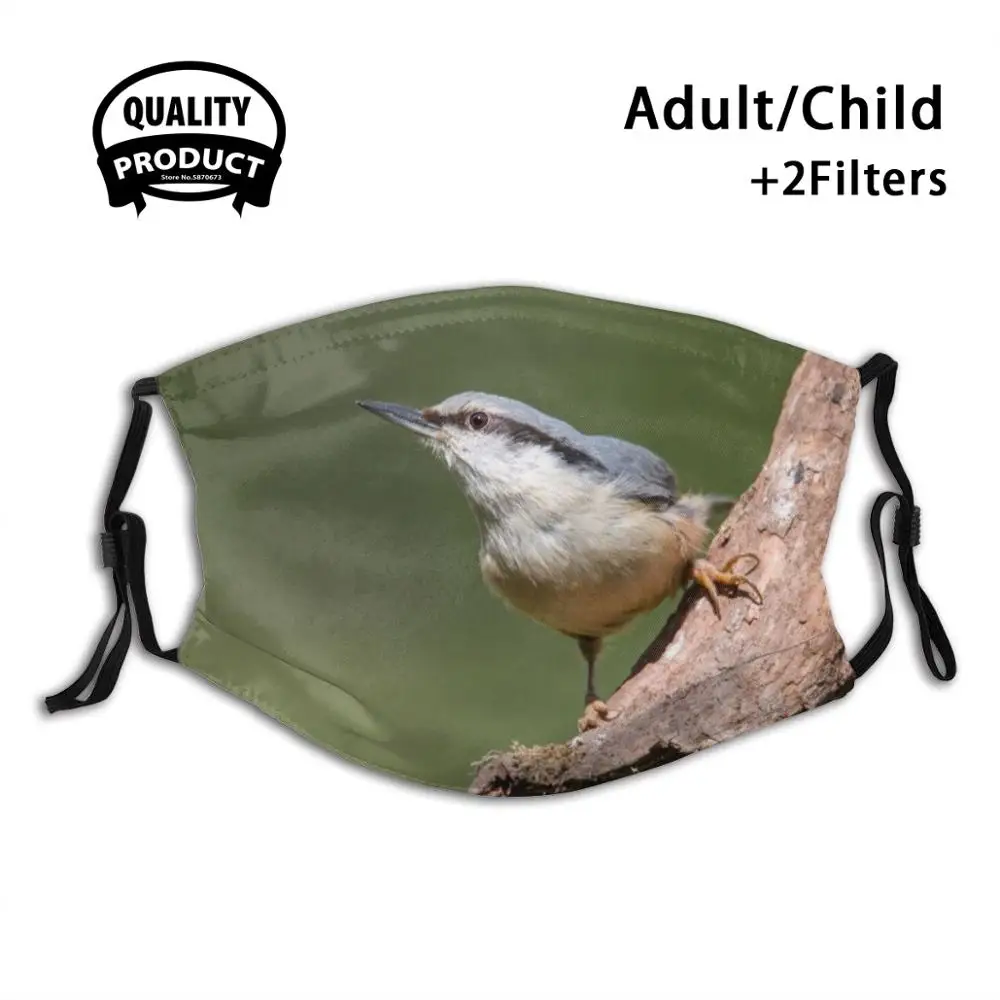 

Kowalik Anti Dust Face Mask Washable Filter ReusableBird Birds Animal Animals Fauna Nature Kowalik Eurasian