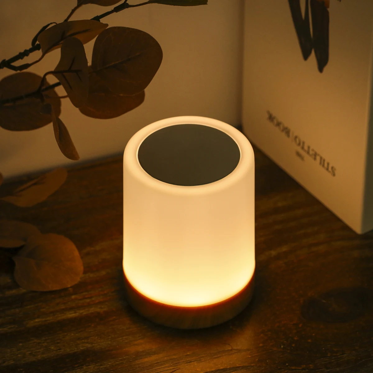 USB Rechargeable Touching Control Bedside Light Dimmable Table Lamp Warm White & RGB Night for Living Room Bedrooms Office | Лампы и