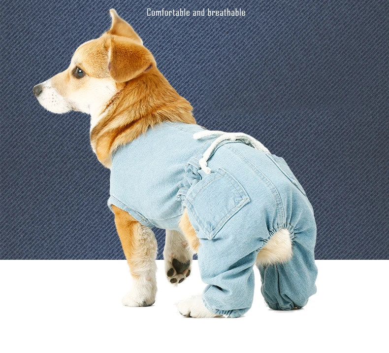 Собака модные классические джинсы рубашка ремень пальто жилет куртка