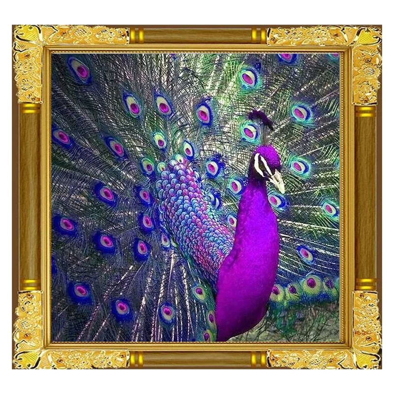 DIY алмазная живопись 5D Вышивка Павлин полный квадратный алмаз вышивка крестом