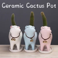 mini cactus pot kitten ceramic succulent pots with drain hole creative plants containers for home and office decoration