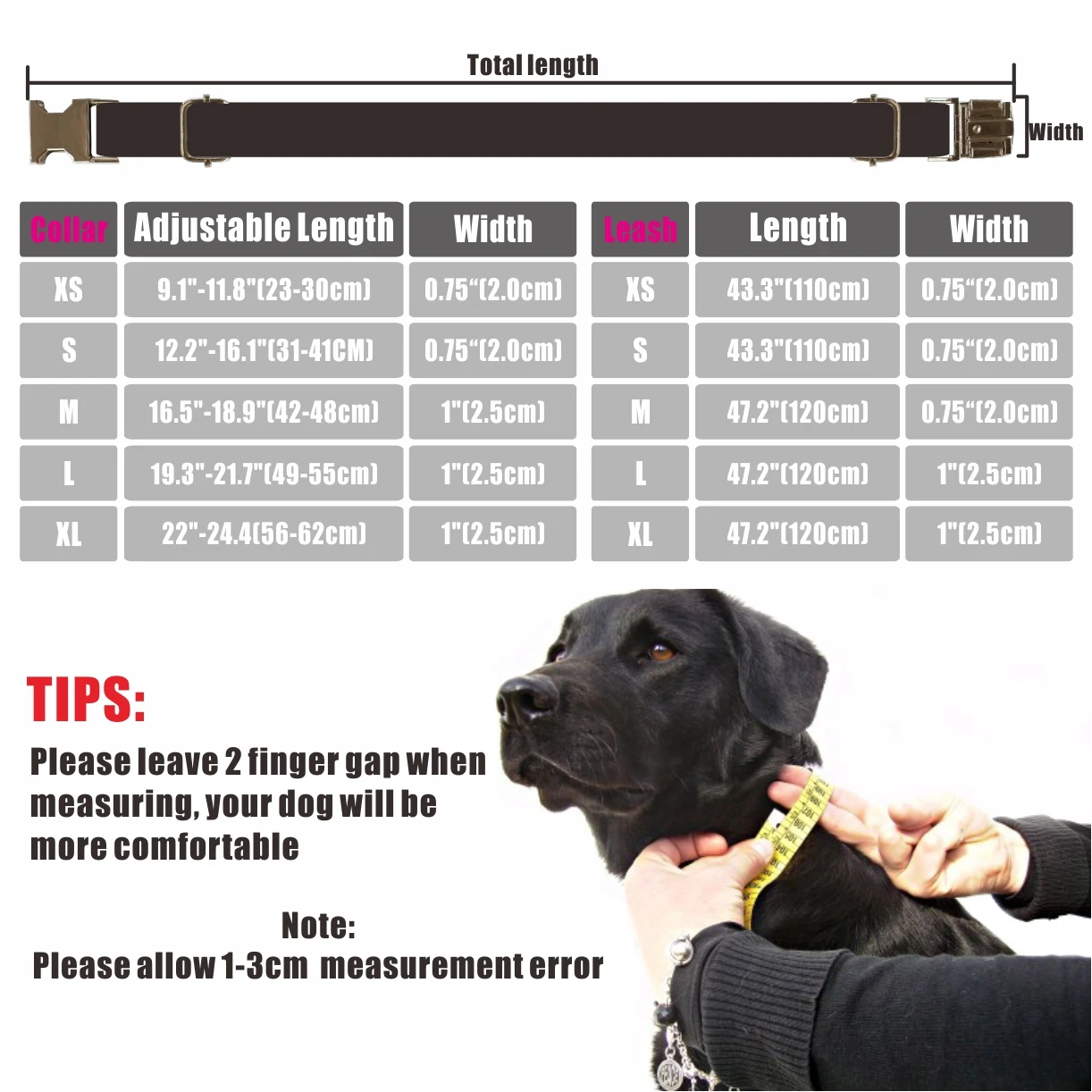 

Customized Dog Collar Free Engraving ID Nameplate Tag Pet Accessory Bamboo Puppy Collars Leash Set