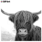 Алмазная живопись 5D Daimond, полная вышивка, квадратнаякруглая корова, животные, стразы, искусственная вышивка крестиком, декоративная картина A116