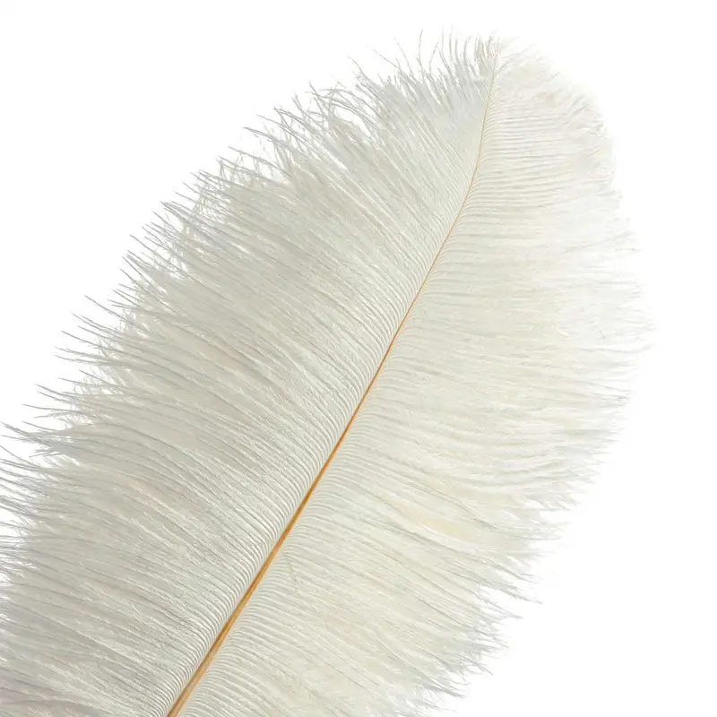 

10-200pcs White Ostrich Feathers DIY Wedding Decoration Plumes Carnival Dancer Plumas for Crafts Needlework Accessories 15-70cm