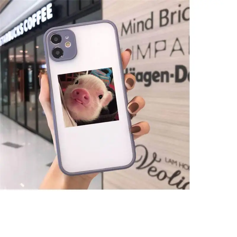 

Cute Little Pink Pet Pig Phone Case matte transparent For gray iPhone 7 8 x xs xr 11 12 pro plus max mini Clear Funda