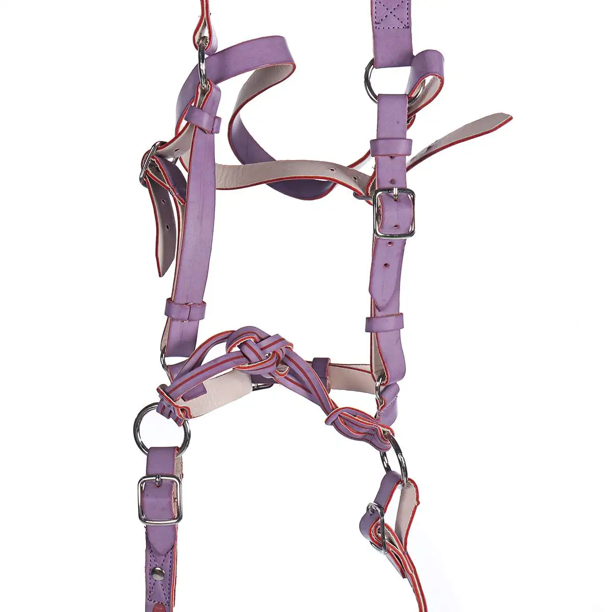 

Thickened Horse Head Collar Adjustable Safety Halter Bridle Practical Headcollar Horse Riding Racing Equipment Training Rope