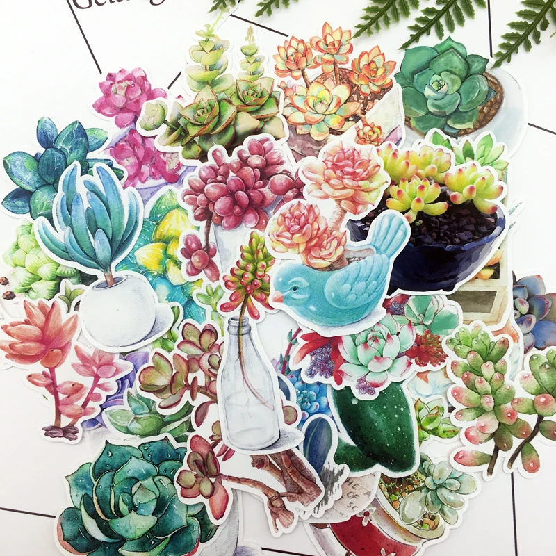 27 шт. акварельным рисунком суккулентные растения Наклейка С КАКТУСОМ дневник