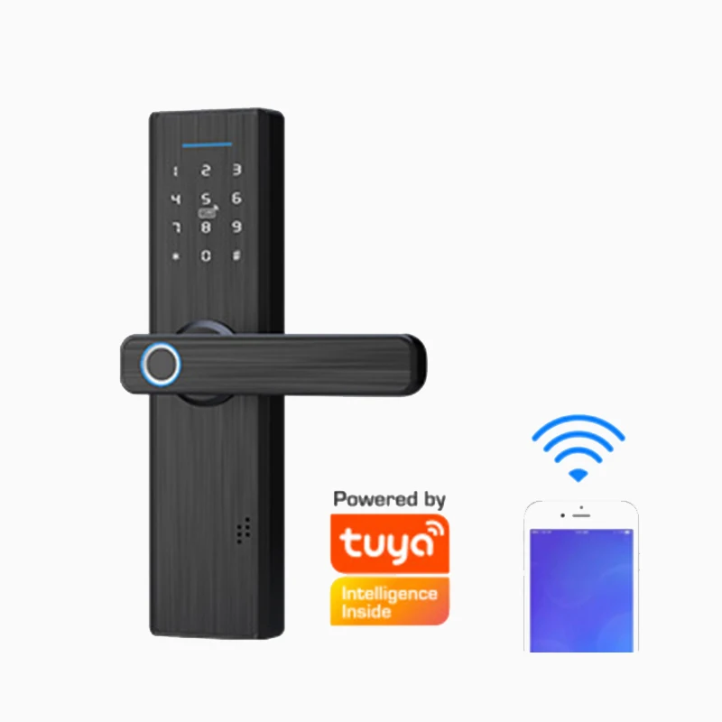 Qleung S804 заводская цена интеллектуальный пароль карты ключ Smart Digital Wifi отпечаток