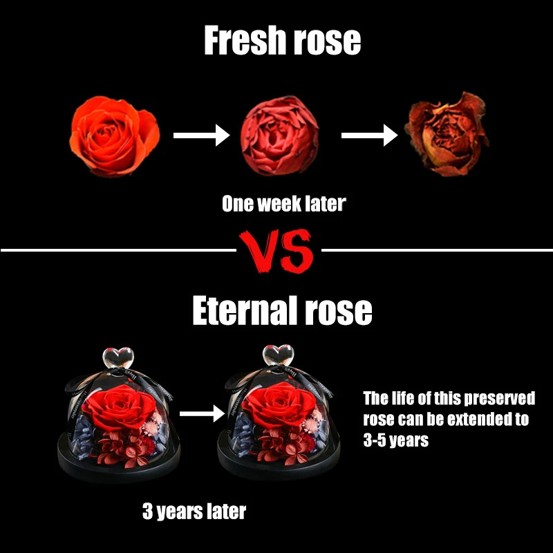 Вечный цветок ручной работы консервированные настоящие розы стеклянная крышка