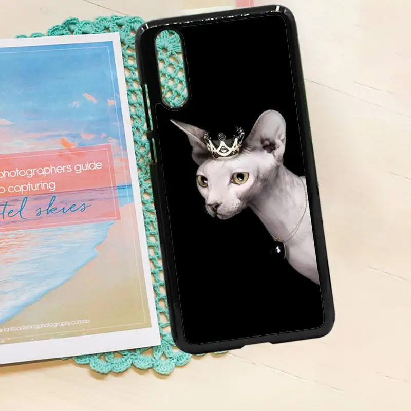 

sphynx cat Animal high quality shell luxury funda phone case PC for iPhone 11 12 pro XS MAX 8 7 6 6S Plus X 5S SE 2020 XR