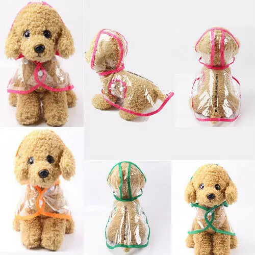 2020 продукт для домашних животных Модный водонепроницаемый прозрачный плащ улицы