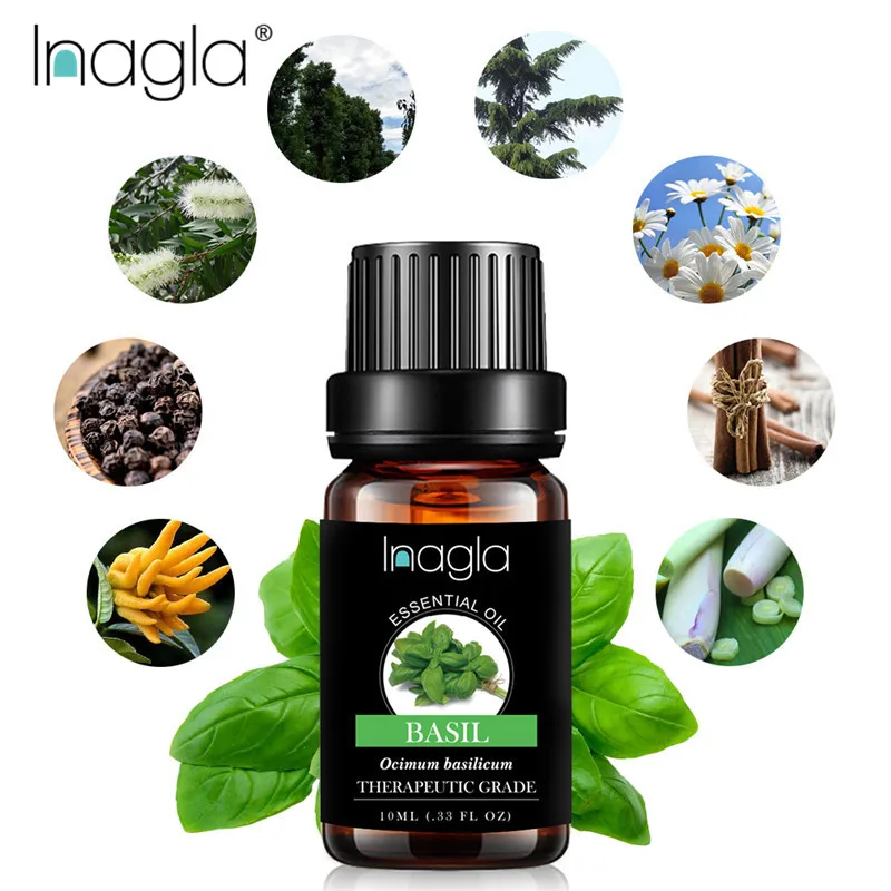

Inagla Basil Essential Oil Water-soluble Fruit Relieve Stress for Humidifier Fragrance Lamp Air Freshening Aromatherapy Oil