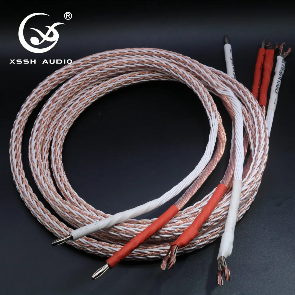 XSSH аудио Hi-end DIY HIFI посеребренный Y-образный штекер-банан 12TC 24-жильный кабель для