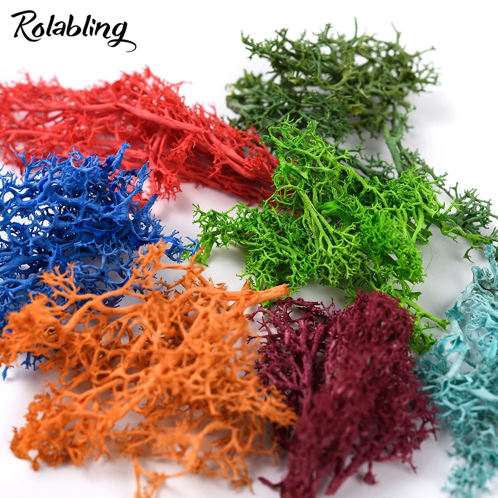 Rolabling 1 упаковка сушеные морские водоросли украшения для ногтей красочные 3d