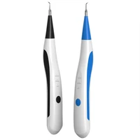 portable electric sonic usb charge tooth scaler tooth cleaner calculus stains tartar remover tool teeth whitening oral hygiene